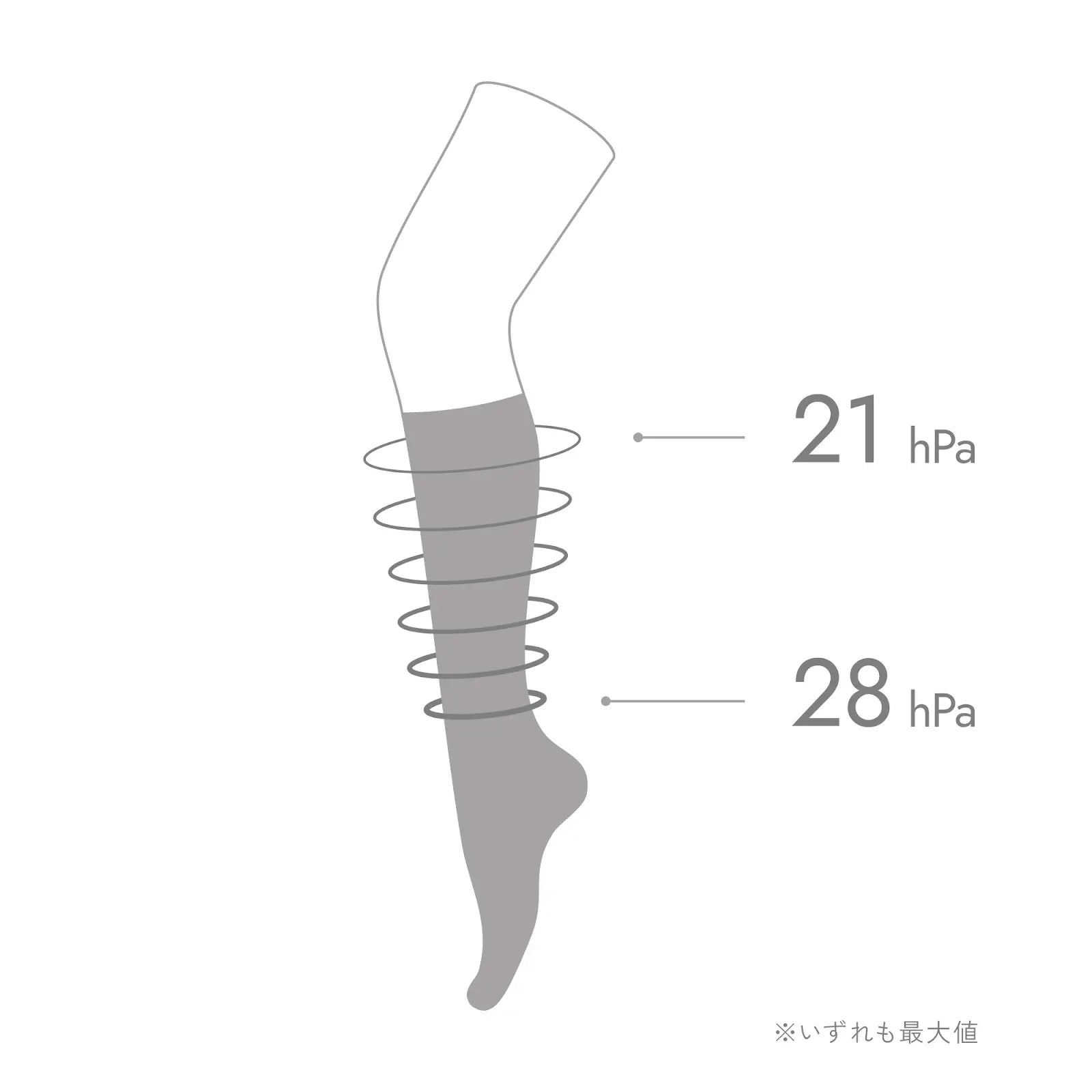MAEÉ コンプレッションソックス(コットンリブタイプ)ナチュラルブラウン