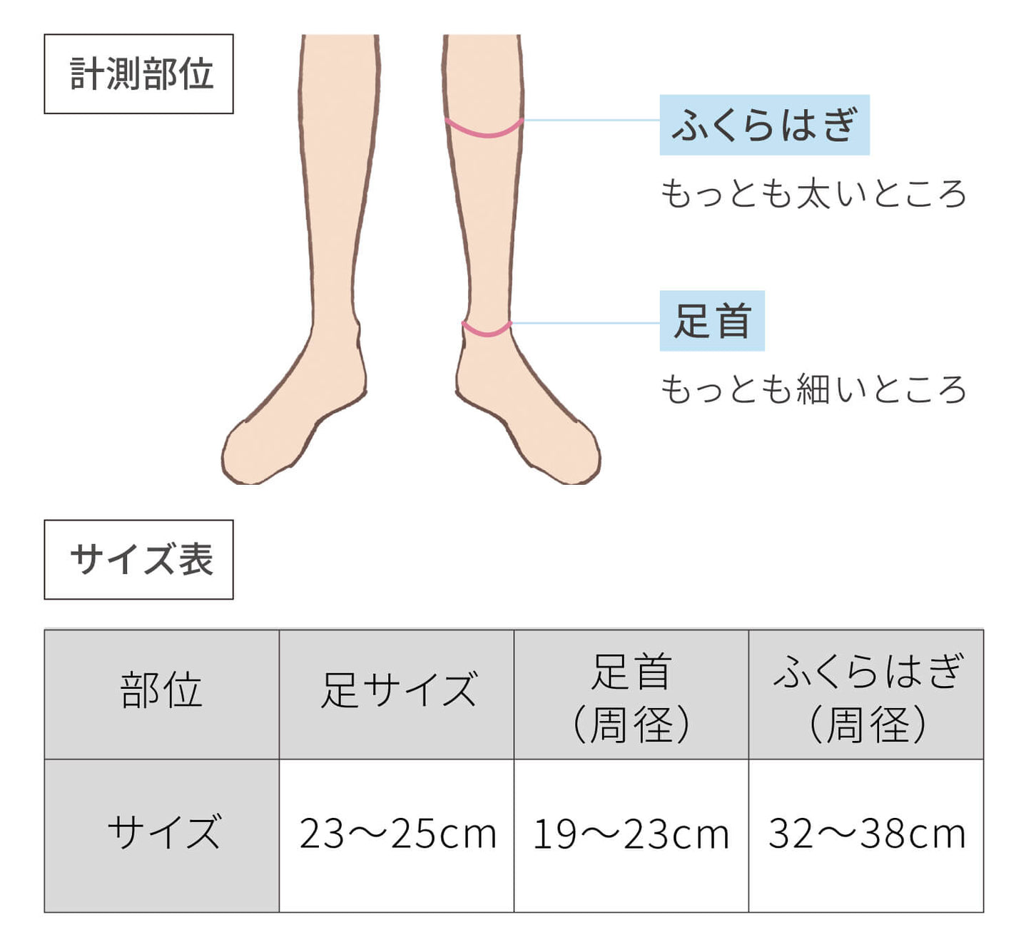 サイズ表、足：23から25センチメートル、足首：19から23センチメートル、ふくらはぎ：32から38センチメートル
