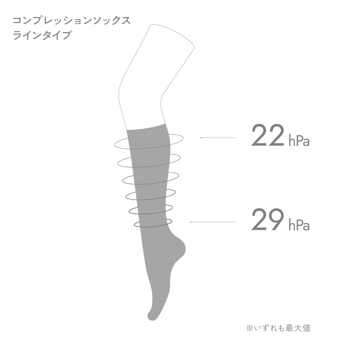 9月くつしたの日 ＜Bセット＞