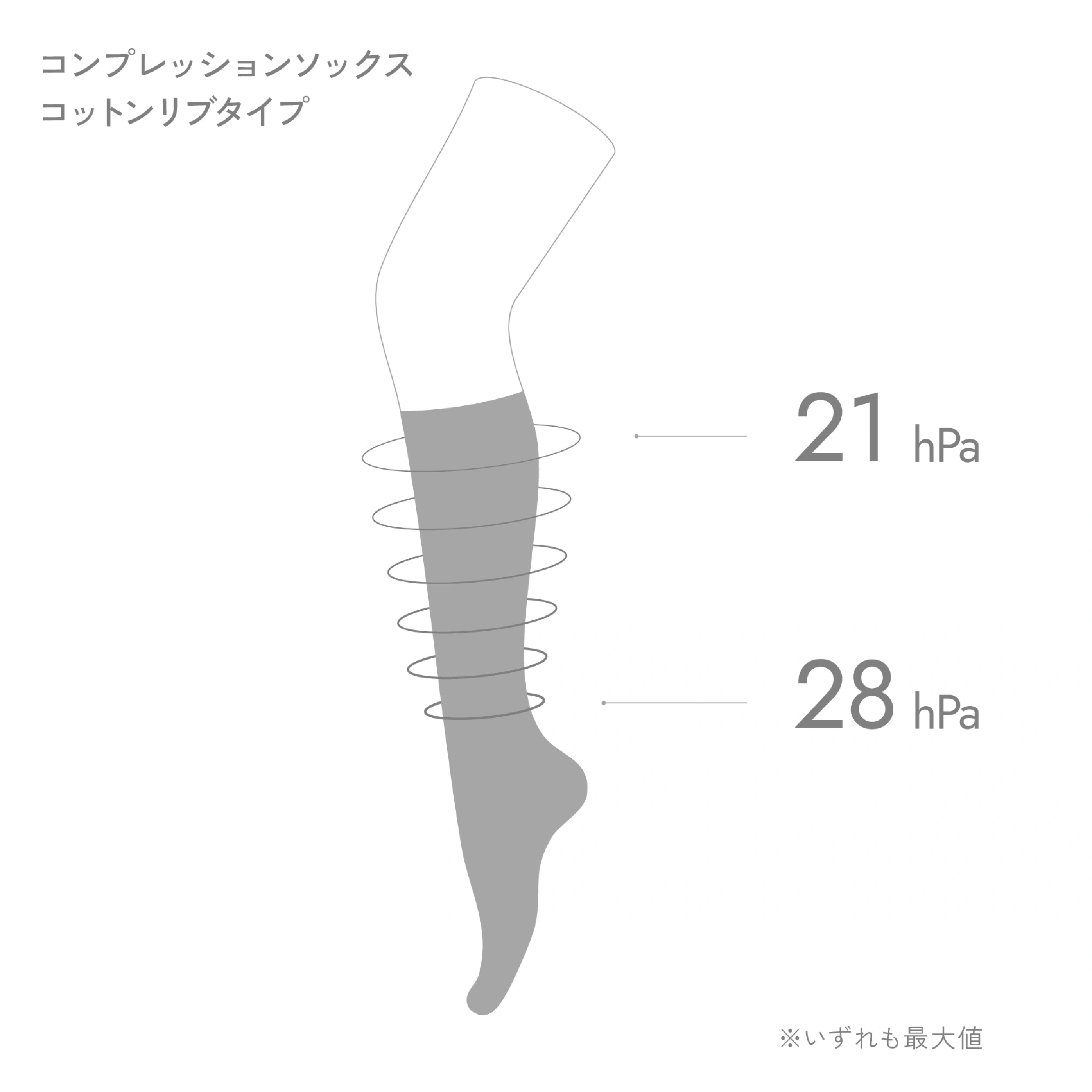 9月くつしたの日 ＜Bセット＞
