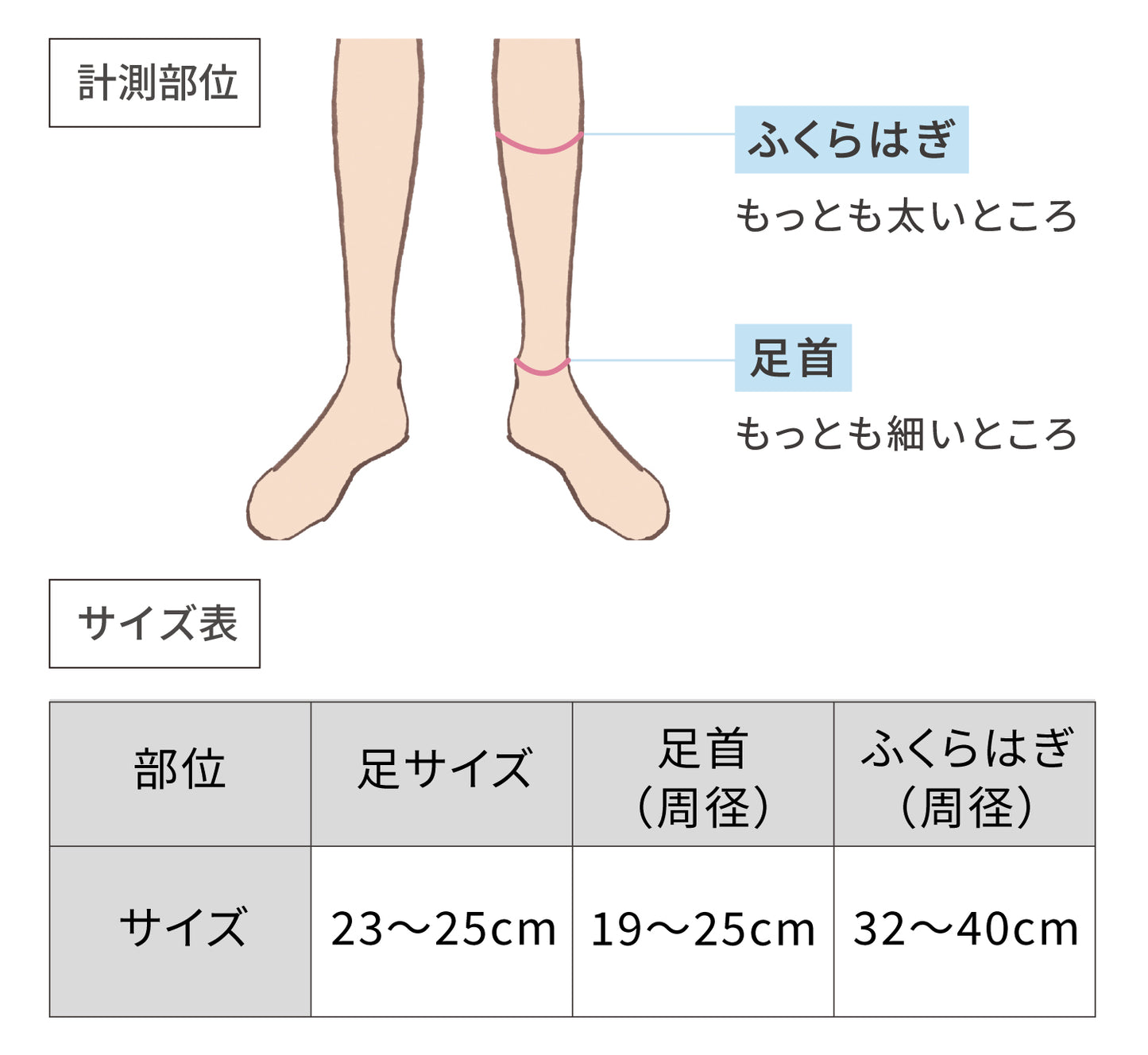 サイズ表、足：23から25センチメートル、足首：19から25センチメートル、ふくらはぎ：32から40センチメートル